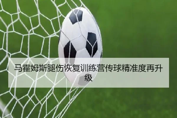 马霍姆斯腿伤恢复训练营传球精准度再升级