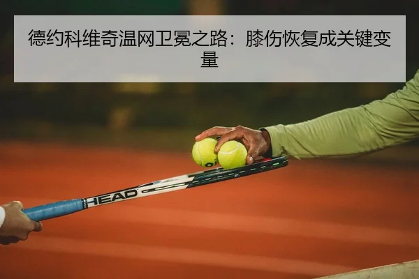 de-yue-ke-wei-qi-wen-wang-wei-mian-zhi-lu-xi-shang-hui-fu-cheng-guan-jian-bian-liang-2-830.jpg