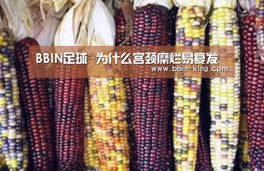 BBIN篮球