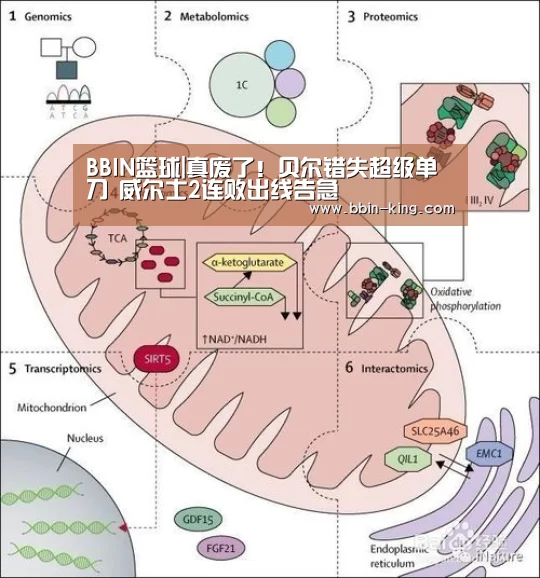 BBIN篮球|真废了!贝尔错失超级单刀 威尔士2连败出线告急(图2) BBIN篮球