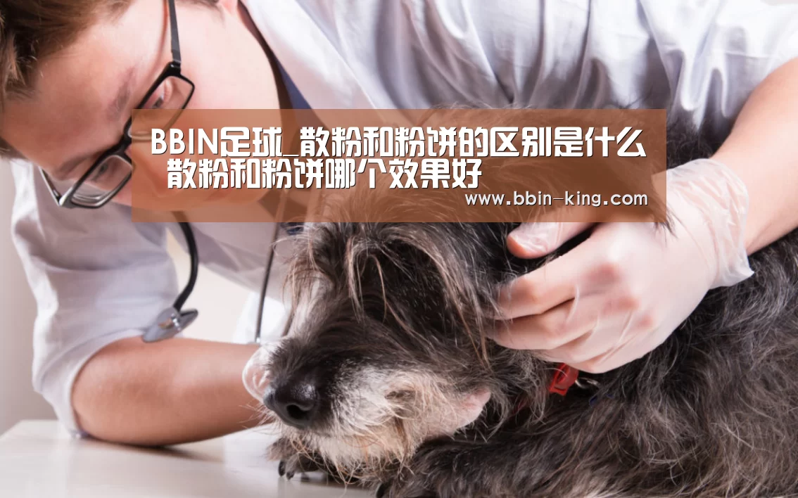 BBIN篮球